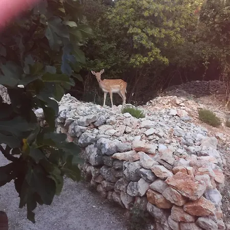 Apartman Legac Starigrad (Kvarner)
