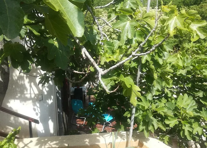 Legac Apartamento *